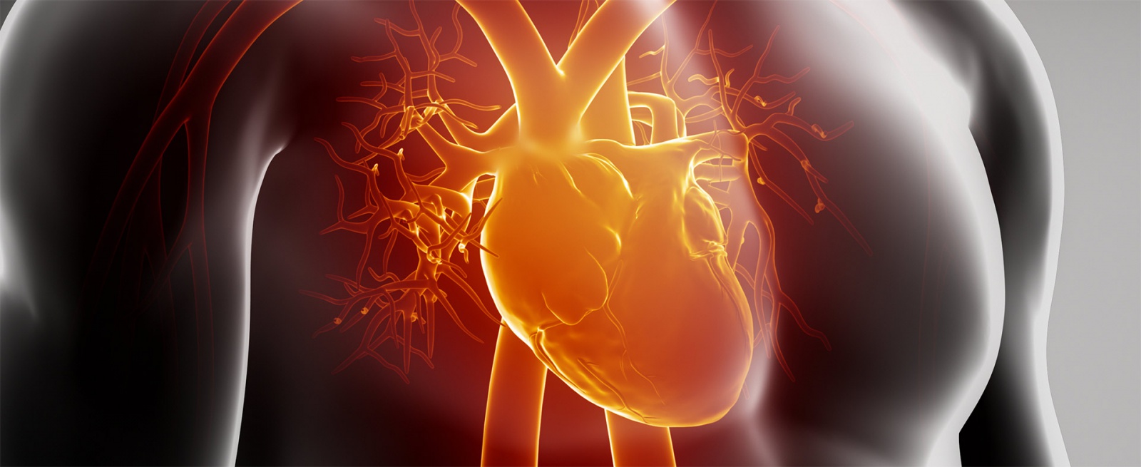 Kardiomiopatie - co to takiego?