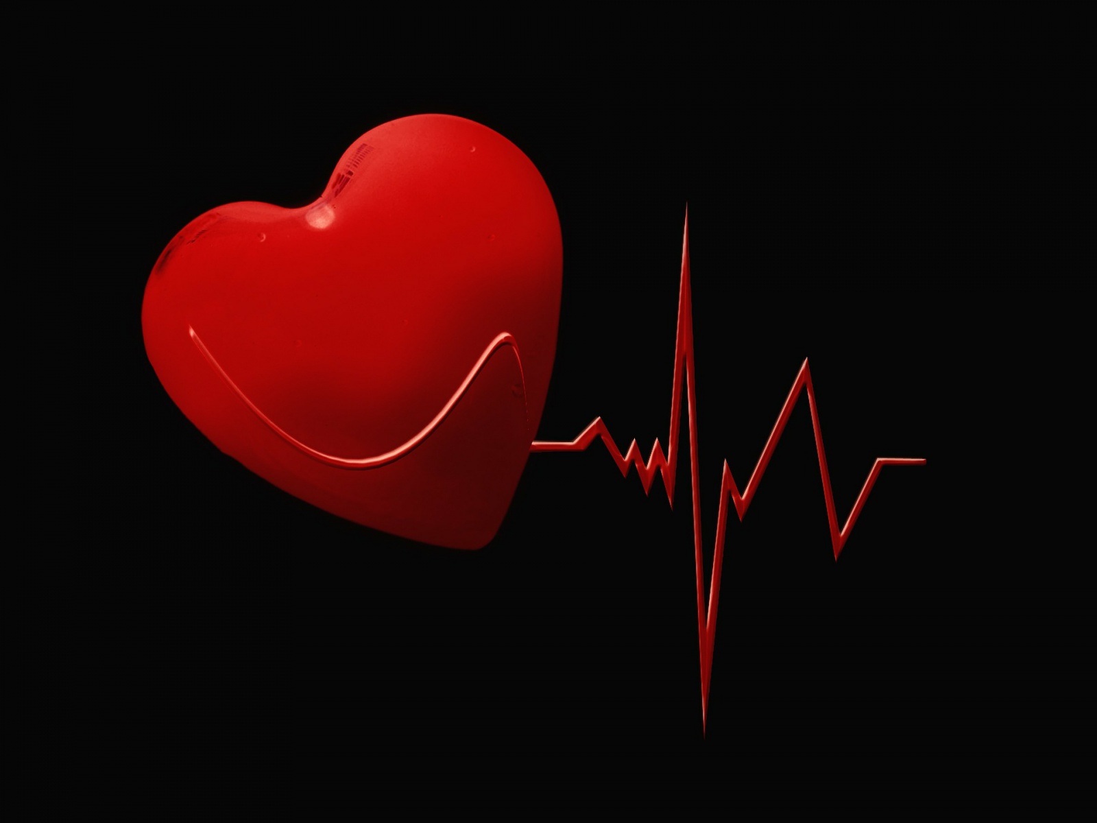 Podstawy budowy i funkcjonowania serca